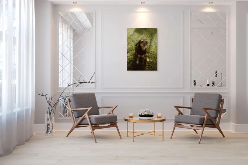 Tablou Canvas, "Cățel atent în lumina soarelui", 70 x 100 cm – poza 8