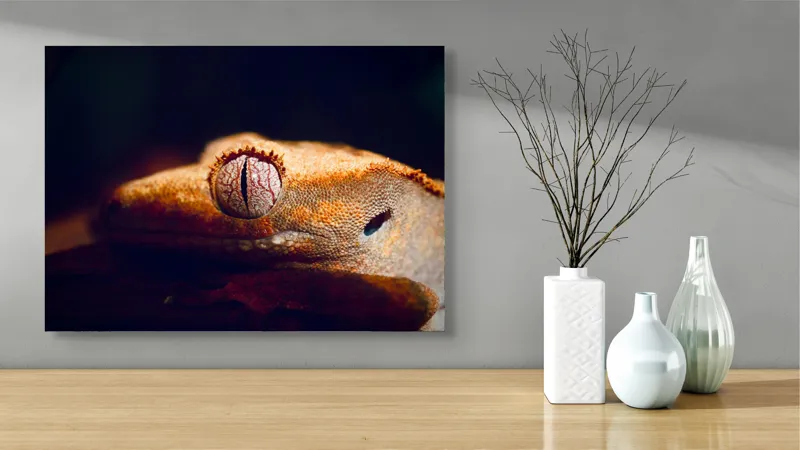 Tablou Canvas, "Ochii șopârlei în lumina apusului", Reptilă, Ochi, Textură, Piele, Detalii, Umbră, Lumină, Claritate, Natură, Faună, 70 x 50 cm – poza 3