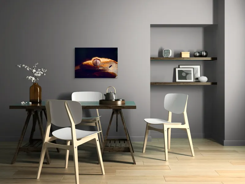 Tablou Canvas, "Ochii șopârlei în lumina apusului", Reptilă, Ochi, Textură, Piele, Detalii, Umbră, Lumină, Claritate, Natură, Faună, 70 x 50 cm – poza 5