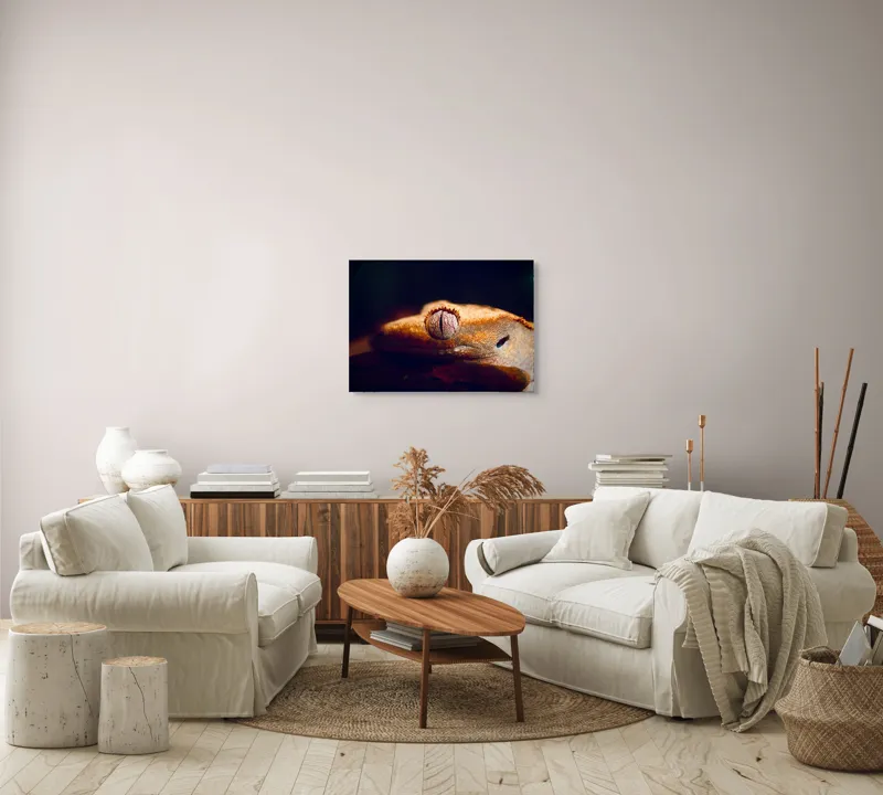 Tablou Canvas, "Ochii șopârlei în lumina apusului", Reptilă, Ochi, Textură, Piele, Detalii, Umbră, Lumină, Claritate, Natură, Faună, 70 x 50 cm – poza 6