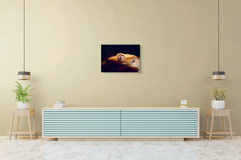Tablou Canvas, "Ochii șopârlei în lumina apusului", Reptilă, Ochi, Textură, Piele, Detalii, Umbră, Lumină, Claritate, Natură, Faună, 70 x 50 cm – poza 7
