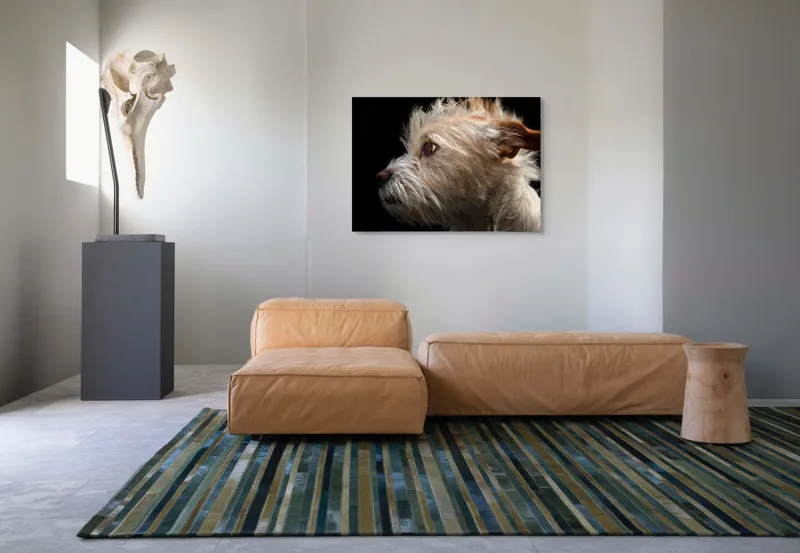 Tablou Canvas, "Portretul unui câine visător", 100 x 70 cm – poza 7
