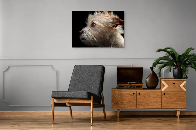 Tablou Canvas, "Portretul unui câine visător", 100 x 70 cm – poza 8