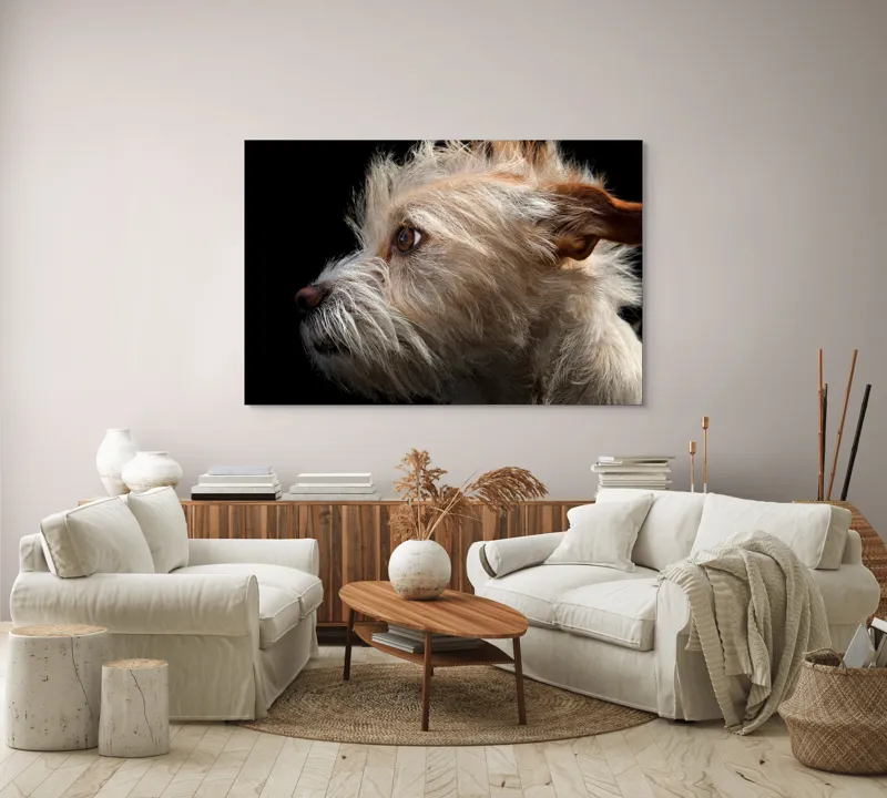 Tablou Canvas, "Portretul unui câine visător", Nu știu cine este în această fotografie., 150 x 100 cm – poza 3