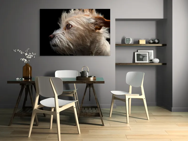 Tablou Canvas, "Portretul unui câine visător", Nu știu cine este în această fotografie., 150 x 100 cm – poza 5