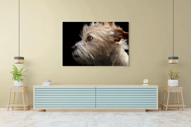 Tablou Canvas, "Portretul unui câine visător", Nu știu cine este în această fotografie., 150 x 100 cm – poza 6