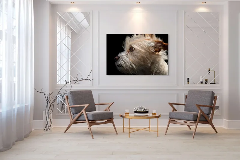Tablou Canvas, "Portretul unui câine visător", Nu știu cine este în această fotografie., 150 x 100 cm – poza 7