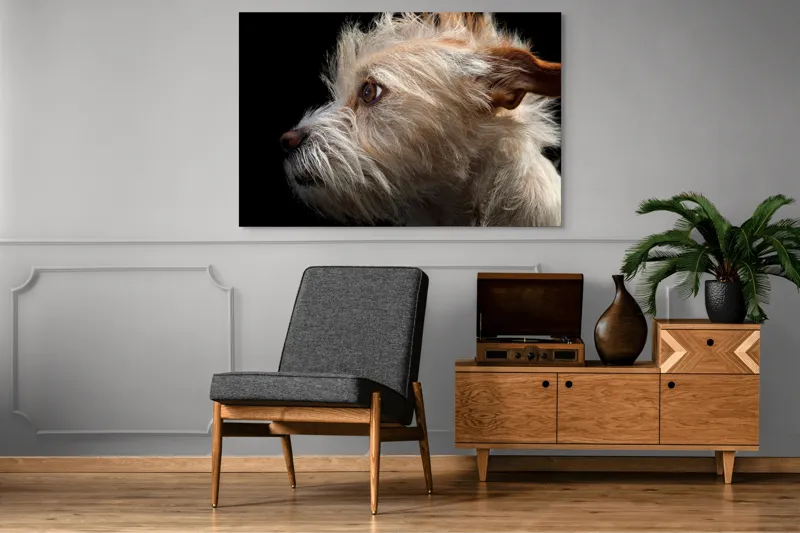 Tablou Canvas, "Portretul unui câine visător", Nu știu cine este în această fotografie., 150 x 100 cm – poza 8