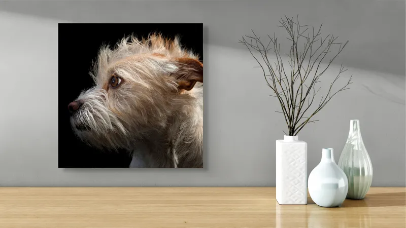 Tablou Canvas, "Portretul unui câine visător", Nu știu cine este în această fotografie., 50 x 50 cm – poza 3