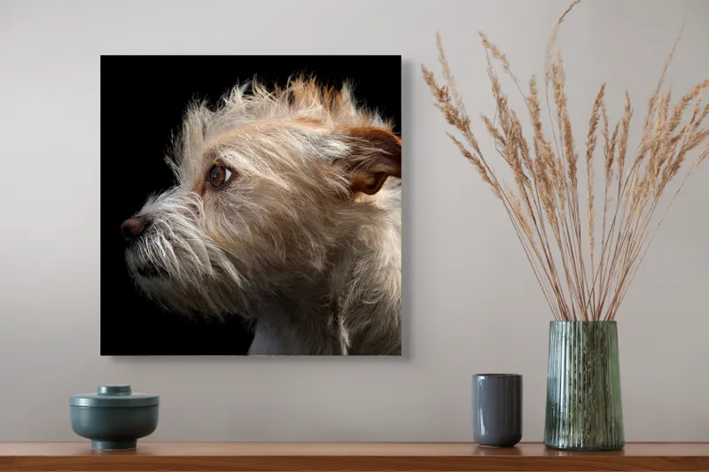 Tablou Canvas, "Portretul unui câine visător", Nu știu cine este în această fotografie., 50 x 50 cm – poza 4