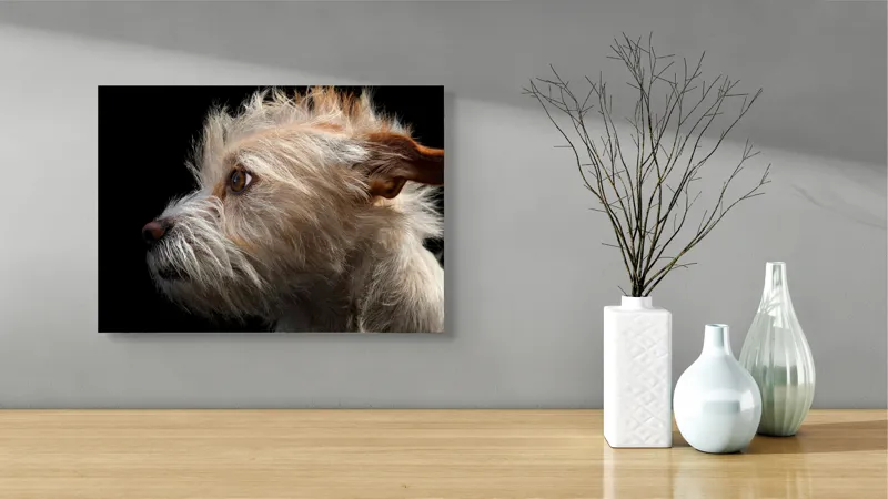 Tablou Canvas, "Portretul unui câine visător", Nu știu cine este în această fotografie., 54 x 39 cm – poza 3