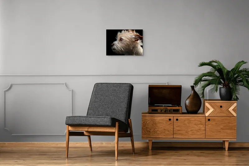 Tablou Canvas, "Portretul unui câine visător", Nu știu cine este în această fotografie., 54 x 39 cm – poza 7