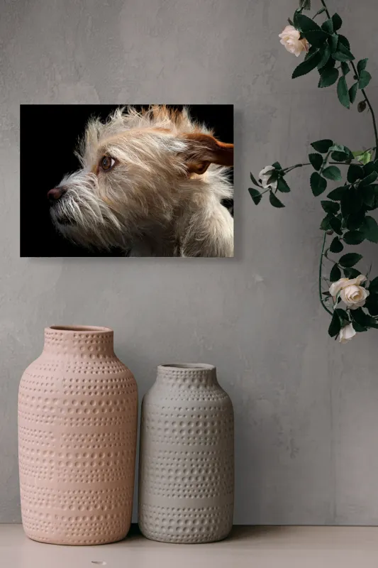 Tablou Canvas, "Portretul unui câine visător", Nu știu cine este în această fotografie., 54 x 39 cm – poza 8