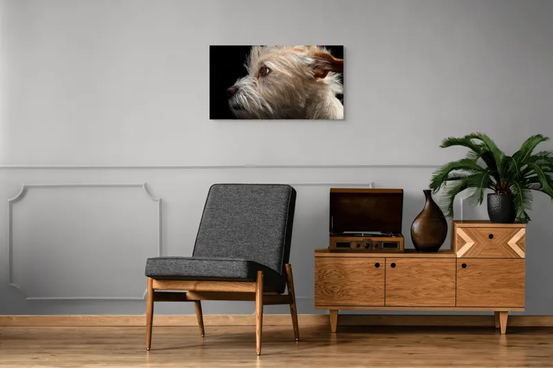 Tablou Canvas, "Portretul unui câine visător", 90 x 50 cm – poza 6