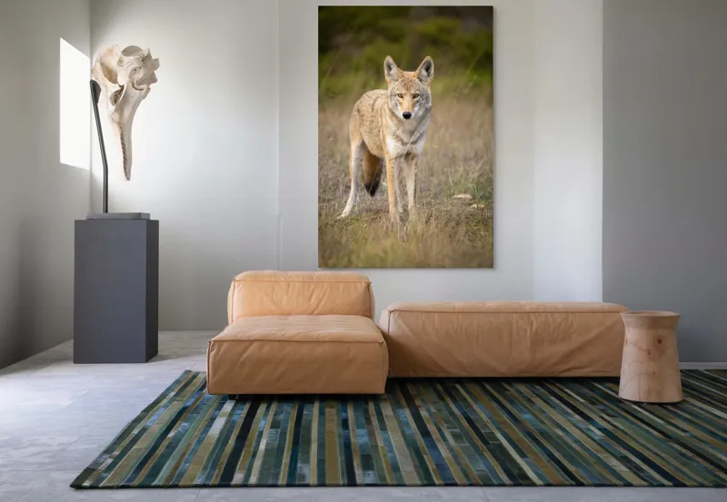 Tablou Canvas, "Lupuleț în iarba deasă toamna", 100 x 150 cm – poza 7