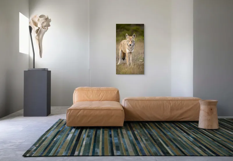 Tablou Canvas, "Lupuleț în iarba deasă toamna", 50 x 90 cm – poza 5