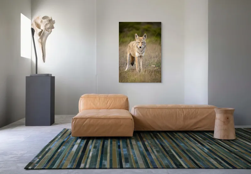 Tablou Canvas, "Lupuleț în iarba deasă toamna", 70 x 100 cm – poza 7