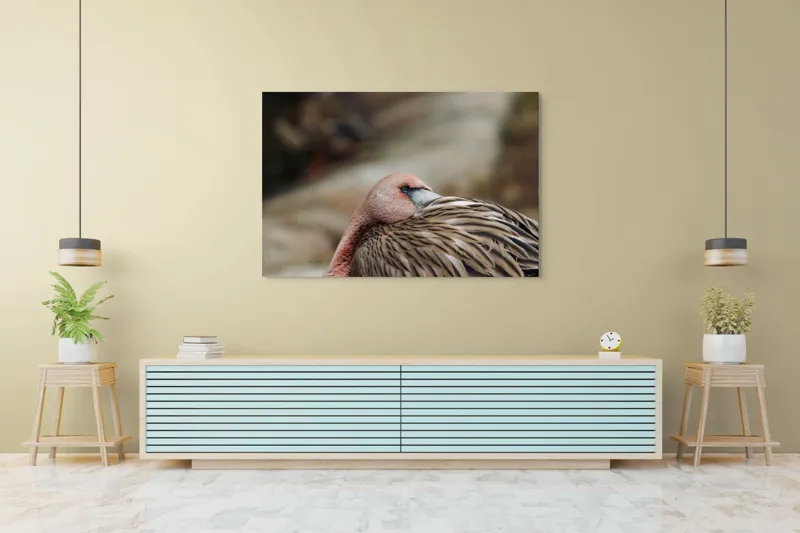 Tablou Canvas, "Pasărea somnoroasă pe malul apei", 150 x 100 cm – poza 6