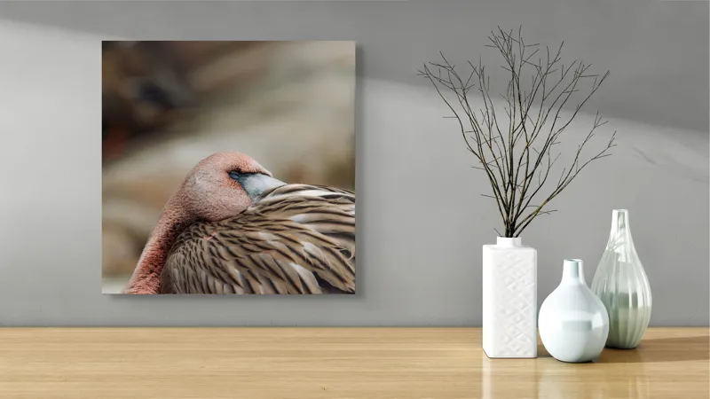 Tablou Canvas, "Pasărea somnoroasă pe malul apei", Îmi pare rău, nu pot spune cine sau ce este acest animal., 50 x 50 cm – poza 3