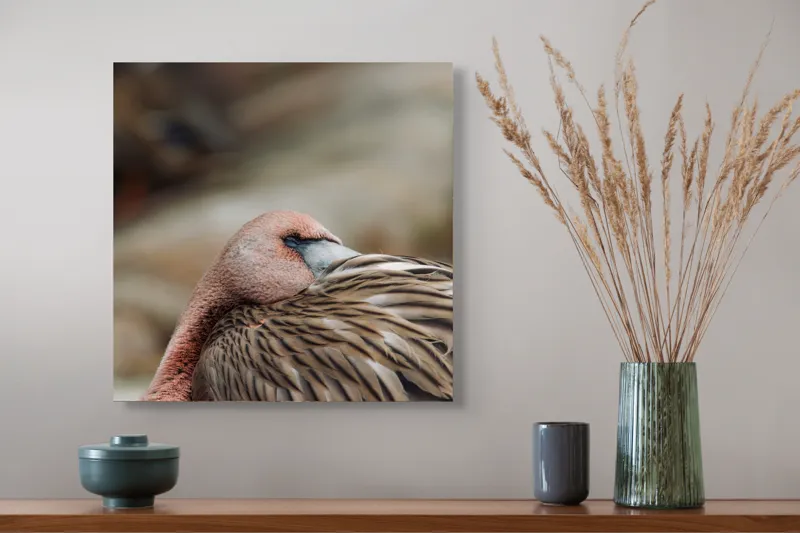 Tablou Canvas, "Pasărea somnoroasă pe malul apei", Îmi pare rău, nu pot spune cine sau ce este acest animal., 50 x 50 cm – poza 4