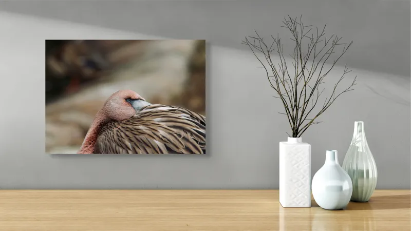Tablou Canvas, "Pasărea somnoroasă pe malul apei", Îmi pare rău, nu pot spune cine sau ce este acest animal., 54 x 39 cm – poza 3