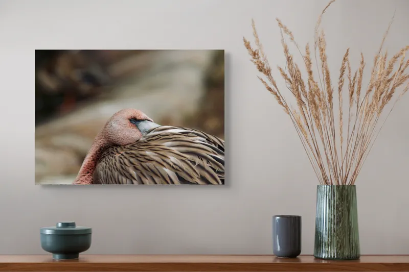 Tablou Canvas, "Pasărea somnoroasă pe malul apei", Îmi pare rău, nu pot spune cine sau ce este acest animal., 54 x 39 cm – poza 4