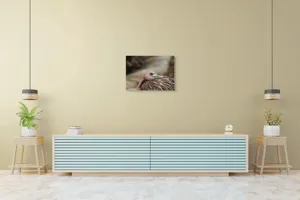 Tablou Canvas, "Pasărea somnoroasă pe malul apei", 70 x 50 cm – poza 7