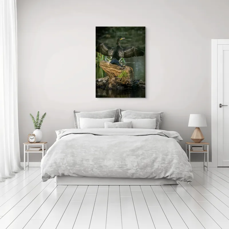 Tablou Canvas, "Cormoranul cu aripile desfăcute", Pasăre, Cormoran, Aripi, Întinse, Stâncă, Apă, Vegetație, Verde, Penaj, Negru, 70 x 100 cm – poza 3