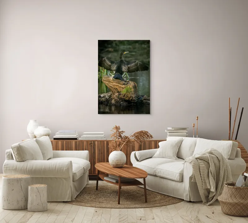 Tablou Canvas, "Cormoranul cu aripile desfăcute", Pasăre, Cormoran, Aripi, Întinse, Stâncă, Apă, Vegetație, Verde, Penaj, Negru, 70 x 100 cm – poza 4