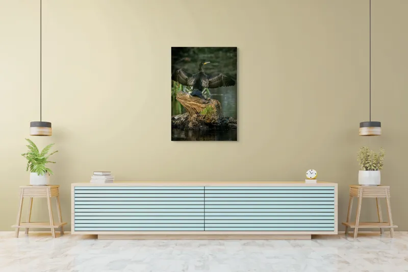 Tablou Canvas, "Cormoranul cu aripile desfăcute", Pasăre, Cormoran, Aripi, Întinse, Stâncă, Apă, Vegetație, Verde, Penaj, Negru, 70 x 100 cm – poza 5