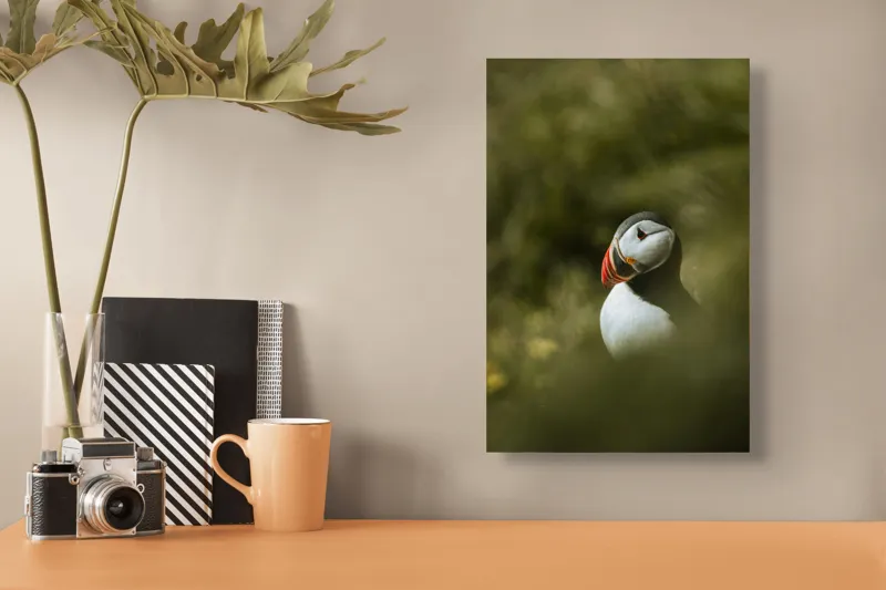 Tablou Canvas, "Papagalul de mare printre frunze verzi", Puffin, Verde, Blană, Roșu, Penaj, Ochi, Arcadă, Contrast, Natură, Serenitate, 26 x 39 cm – poza 3