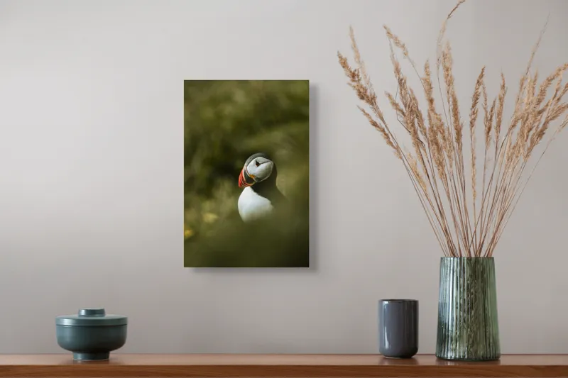 Tablou Canvas, "Papagalul de mare printre frunze verzi", Puffin, Verde, Blană, Roșu, Penaj, Ochi, Arcadă, Contrast, Natură, Serenitate, 26 x 39 cm – poza 5