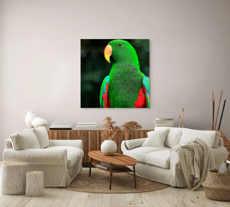Tablou Canvas, "Papagalul verde în lumina dimineții", 100 x 100 cm – poza 3