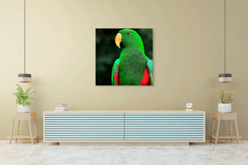 Tablou Canvas, "Papagalul verde în lumina dimineții", 100 x 100 cm – poza 5