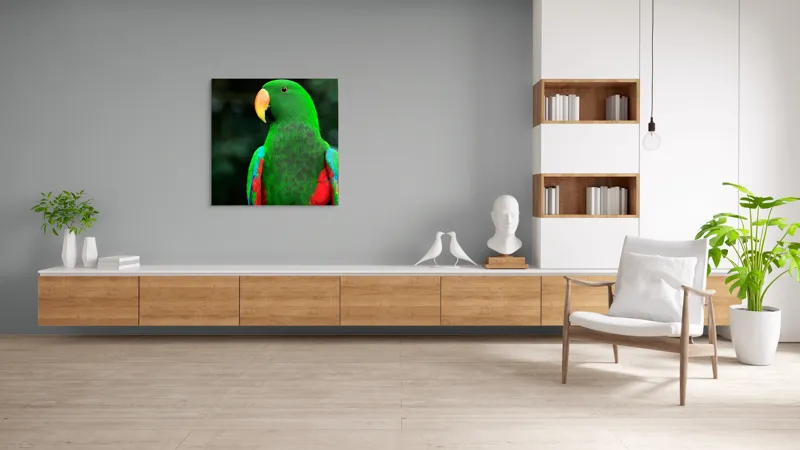 Tablou Canvas, "Papagalul verde în lumina dimineții", 100 x 100 cm – poza 8