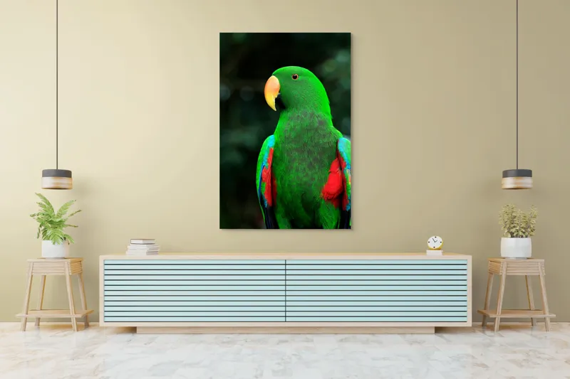 Tablou Canvas, "Papagalul verde în lumina dimineții", 100 x 150 cm – poza 4