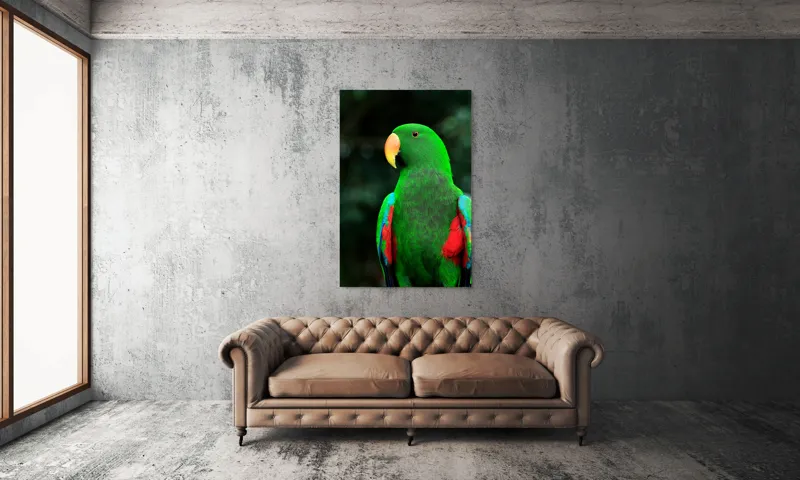 Tablou Canvas, "Papagalul verde în lumina dimineții", 100 x 150 cm – poza 6