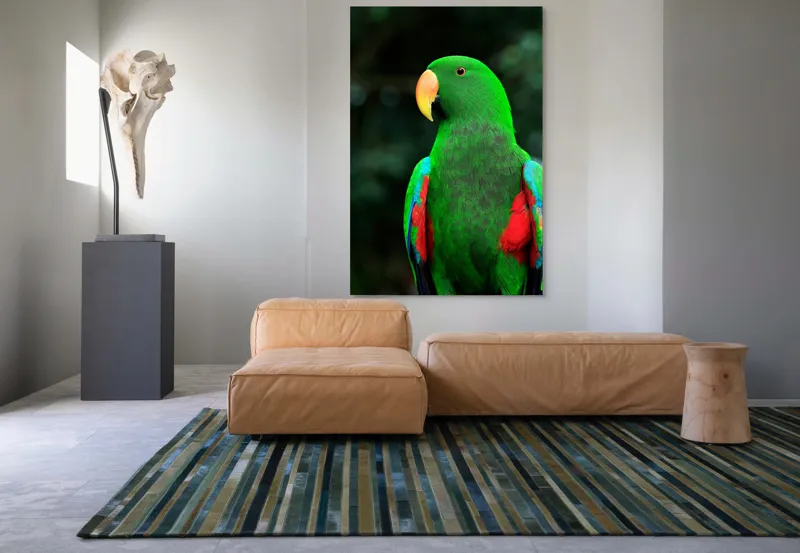 Tablou Canvas, "Papagalul verde în lumina dimineții", 100 x 150 cm – poza 7