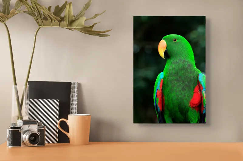 Tablou Canvas, "Papagalul verde în lumina dimineții", 26 x 39 cm – poza 3