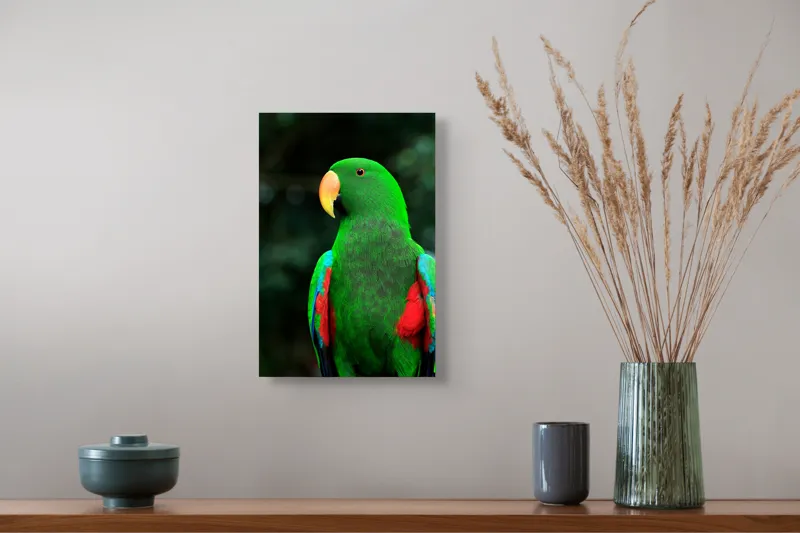 Tablou Canvas, "Papagalul verde în lumina dimineții", 26 x 39 cm – poza 5