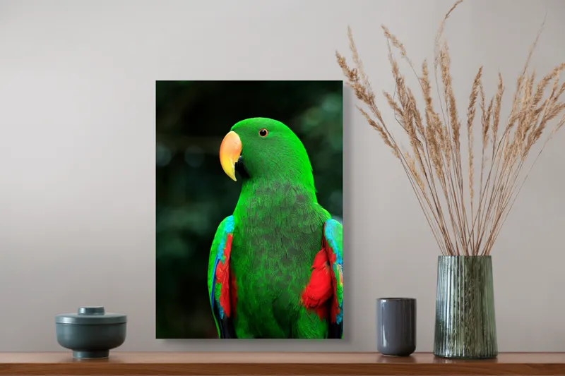 Tablou Canvas, "Papagalul verde în lumina dimineții", 39 x 54 cm – poza 3