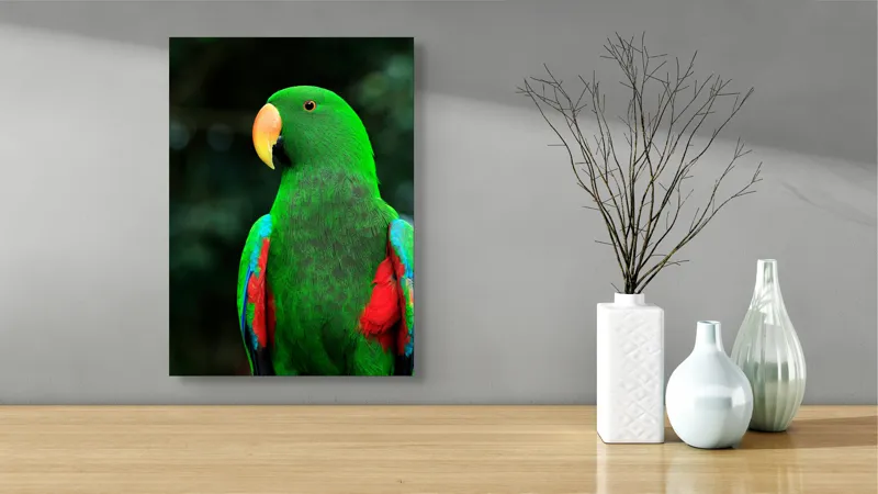 Tablou Canvas, "Papagalul verde în lumina dimineții", 39 x 54 cm – poza 4