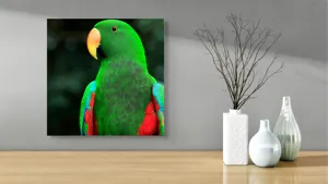 Tablou Canvas, "Papagalul verde în lumina dimineții", 50 x 50 cm – poza 3