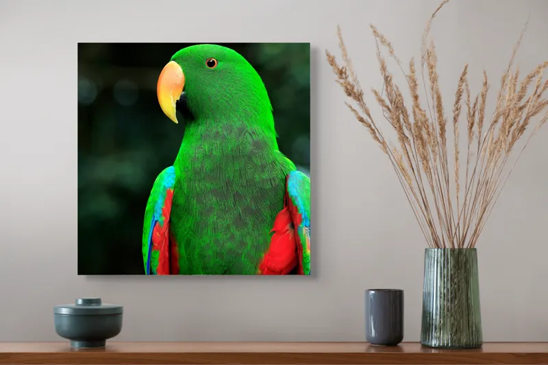 Tablou Canvas, "Papagalul verde în lumina dimineții", 50 x 50 cm – poza 4
