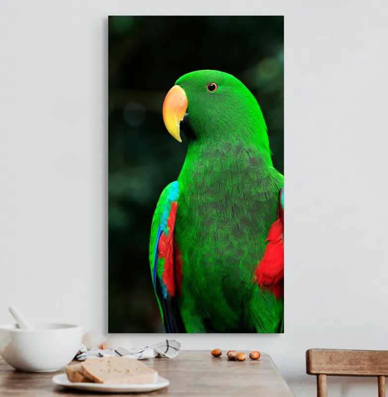 Tablou Canvas, "Papagalul verde în lumina dimineții", 50 x 90 cm – poza 3
