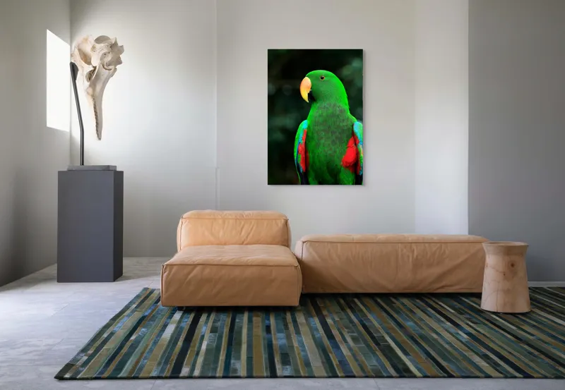 Tablou Canvas, "Papagalul verde în lumina dimineții", 70 x 100 cm – poza 7