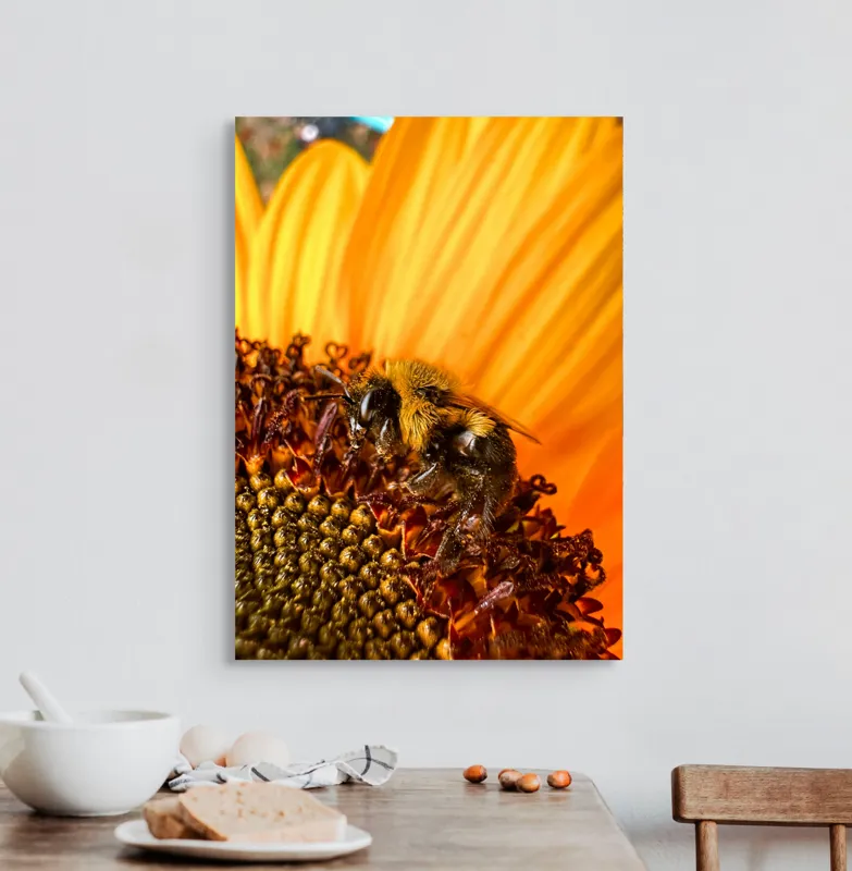 Tablou Canvas, "Albină pe floare de floarea-soarelui", Floare, Albină, Galben, Polen, Natură, Detaliu, Viu, Strălucitor, Petale, Soare, 50 x 70 cm – poza 3