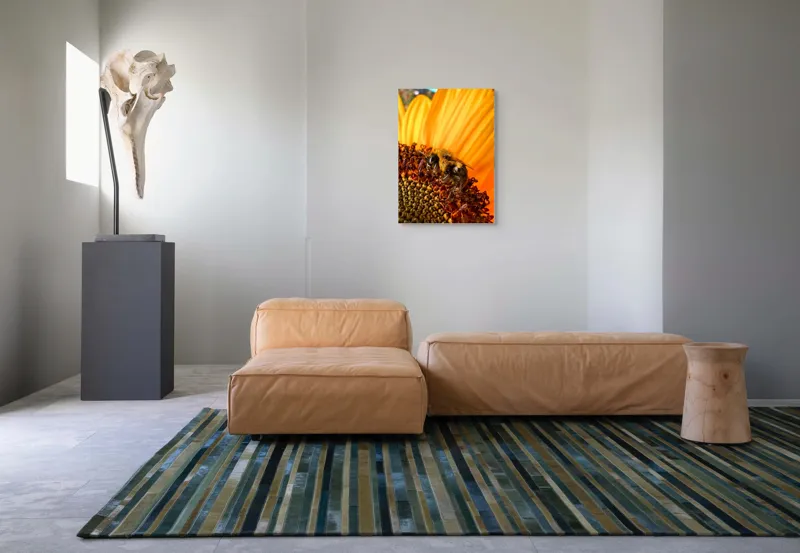 Tablou Canvas, "Albină pe floare de floarea-soarelui", Floare, Albină, Galben, Polen, Natură, Detaliu, Viu, Strălucitor, Petale, Soare, 50 x 70 cm – poza 7