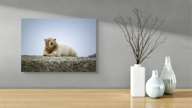 Tablou Canvas, "Urs polar odihnindu-se pe țărm arctic", Urs, Polar, Zăpadă, Relaxare, Pământ, Cer, Reciprocitate, Natură, 54 x 39 cm – poza 3