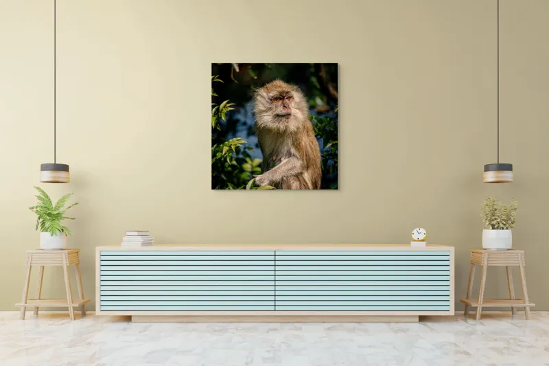 Tablou Canvas, "Maimuța contemplativă în natură vibrantă", Nu pot spune ce animal este aici., 100 x 100 cm – poza 5